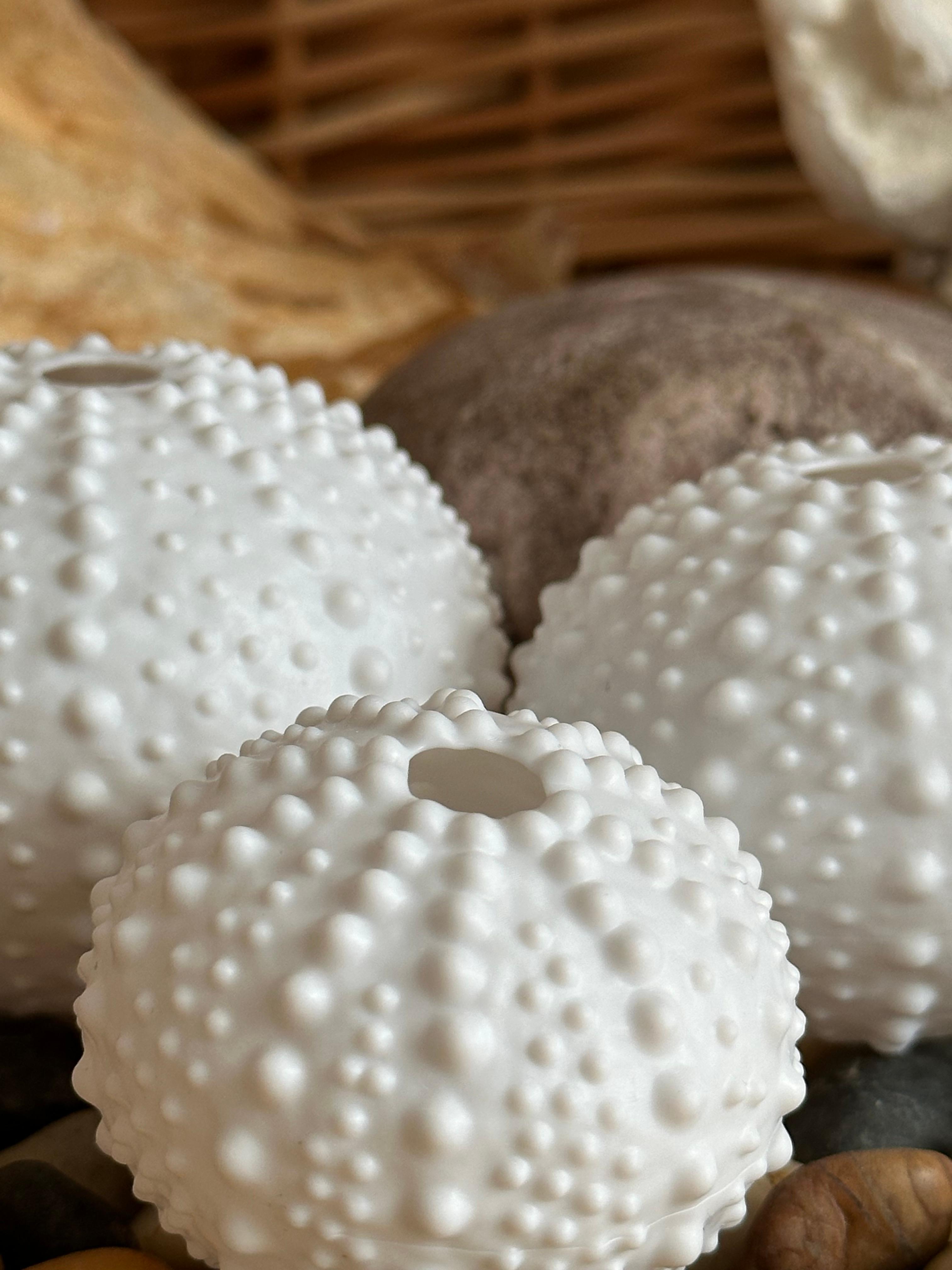 Sea Urchin Shells (Bumpy) 3d model