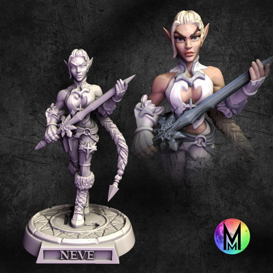 High Elf Female Fighter / Rogue - Neve the High Elf Assassin ( Frost themed High Elf Rogue/Fighter) 3d model