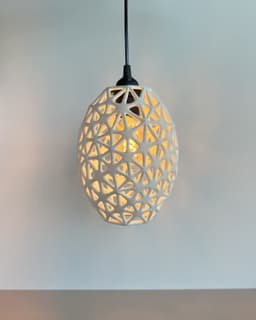 OrganicDomeLamp 3d model