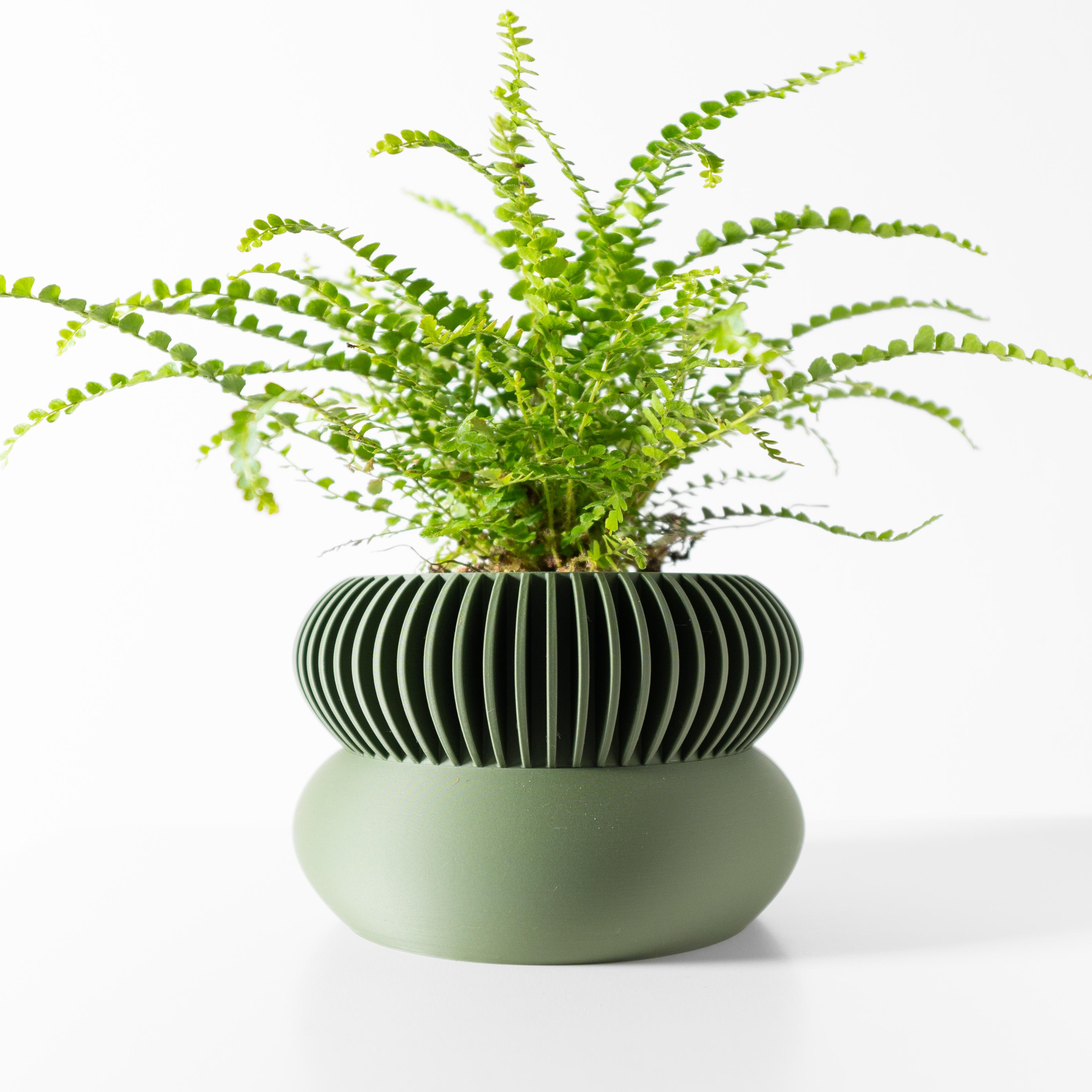 The Elomi Planter Pot with Drainage Tray & Stand: Modern and Unique Home Decor for Plants 3d model