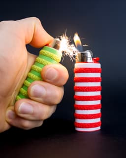 BIC Lighter Cover // WALDO 3d model