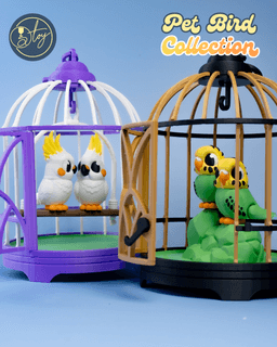 Pet Bird Collection 3d model