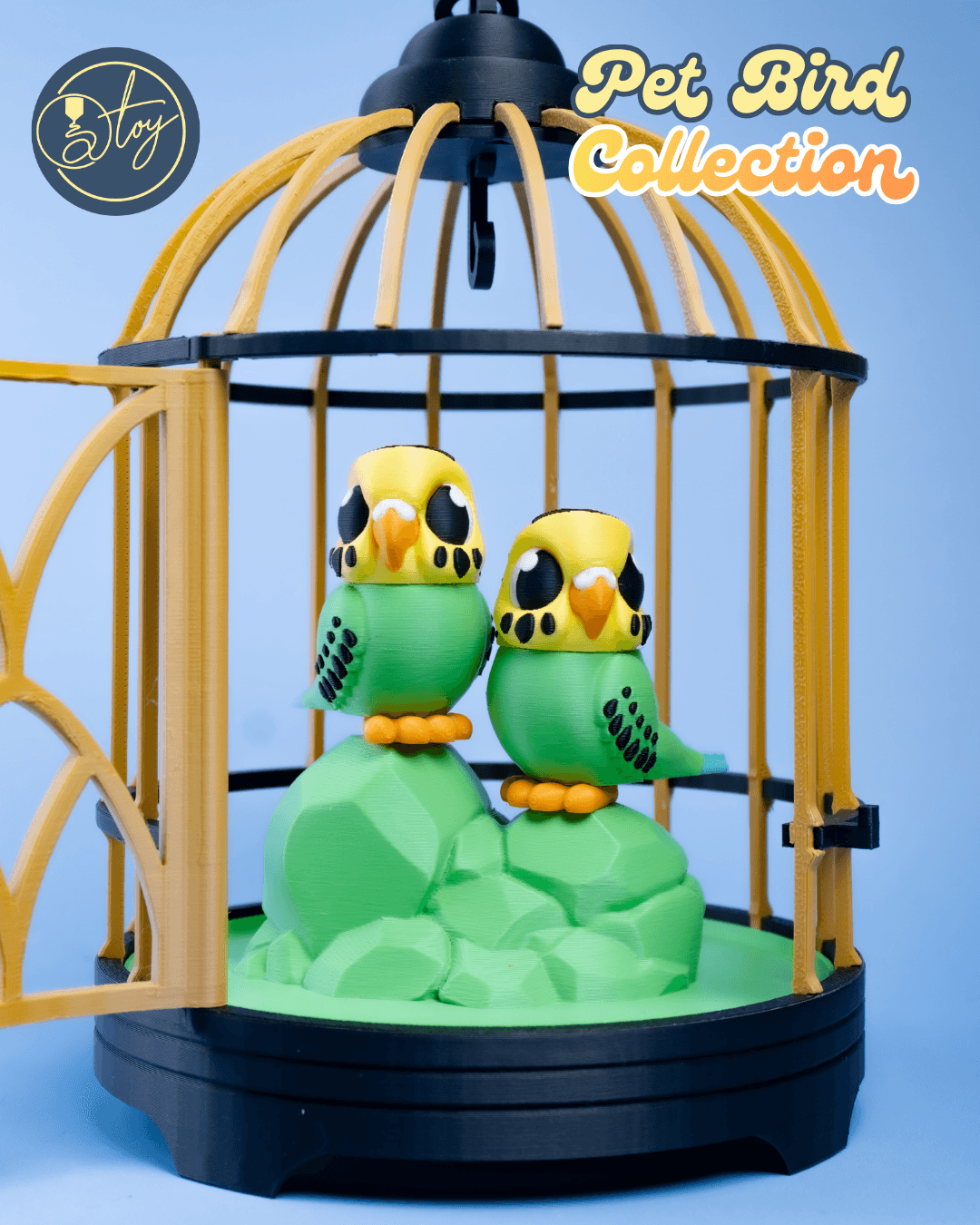 Pet Bird Collection 3d model