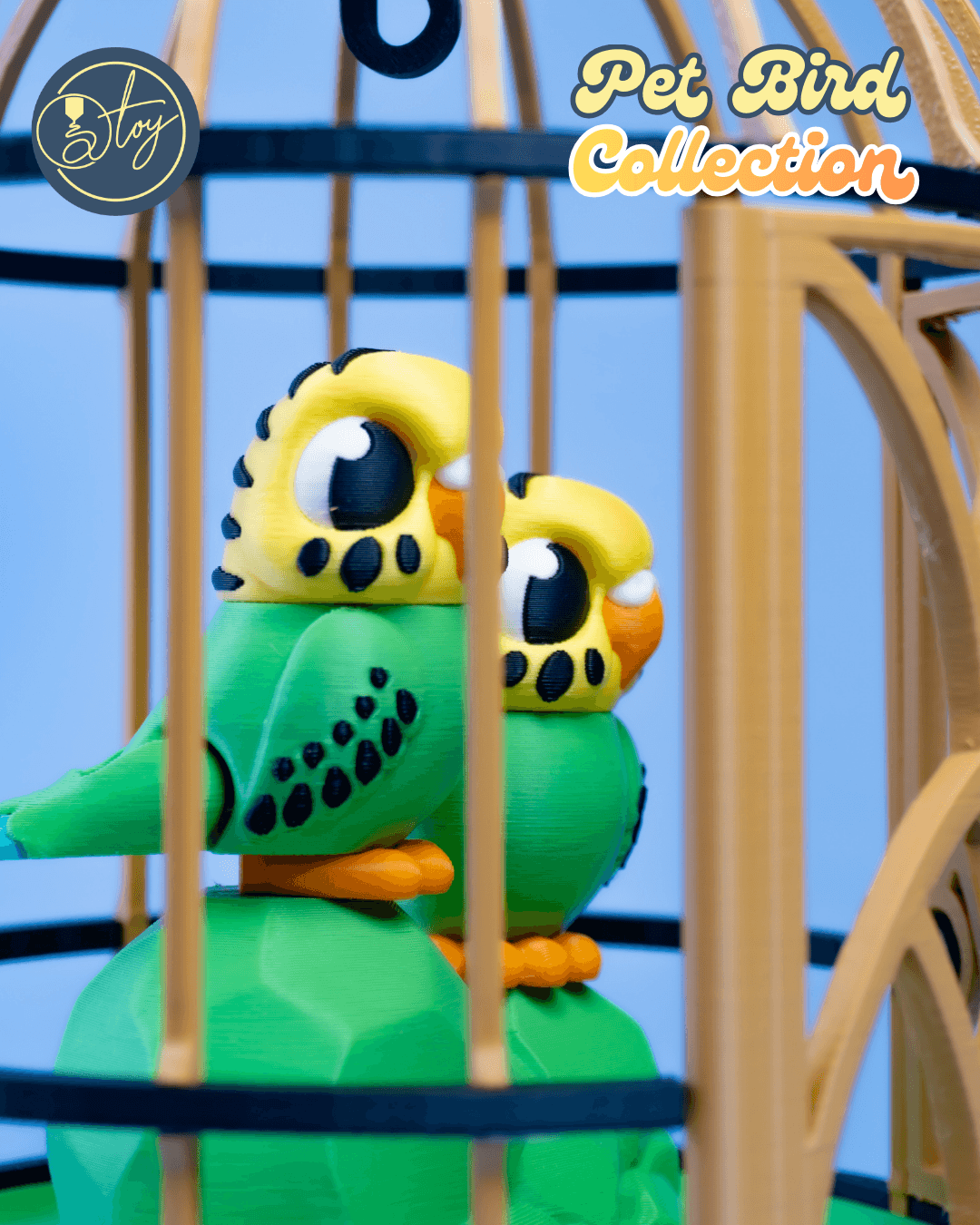 Pet Bird Collection 3d model