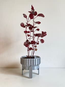 Plant Pot S: 3 Designs 3d model