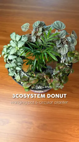 3COSYSTEM | A 3-TIER TERRARIUM 3d model