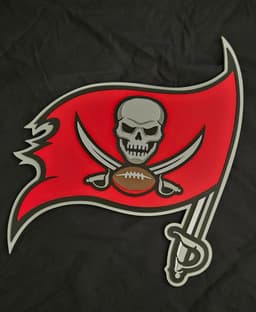 Tampa Bay Buccaneers 3d model
