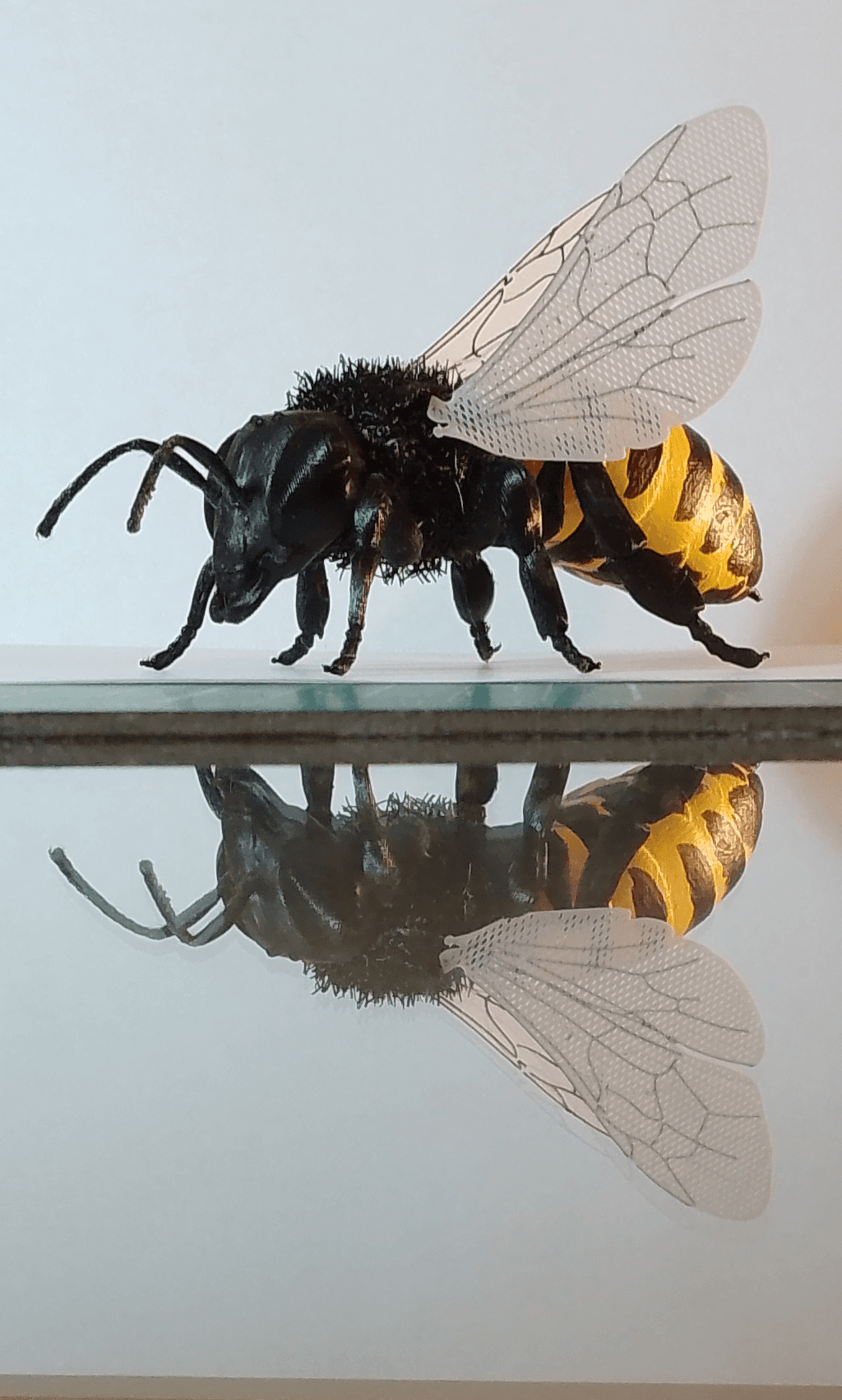 Hairify Honey Bee 3d model