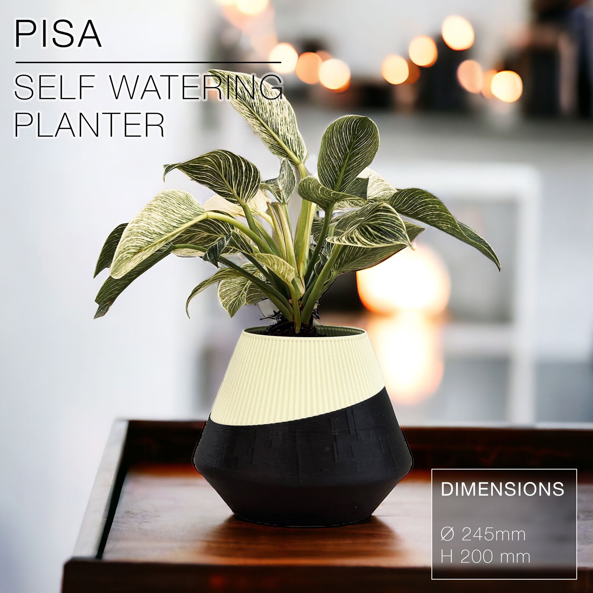 PISA | Self-Watering Planter 3d model