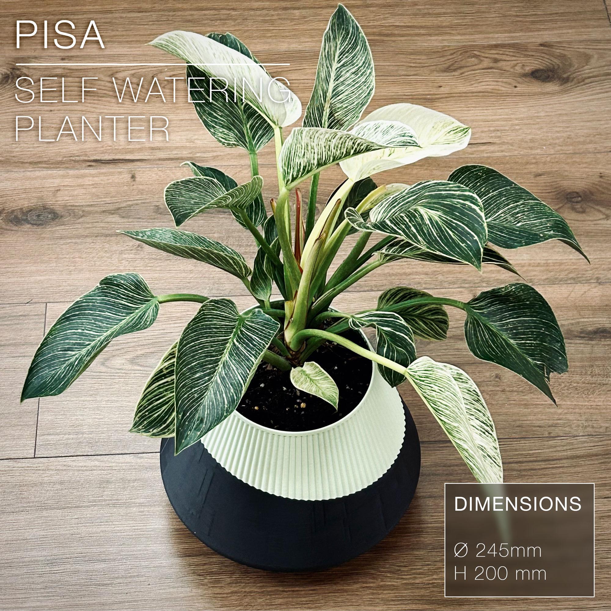 PISA  |  Self-Watering Planter 3d model