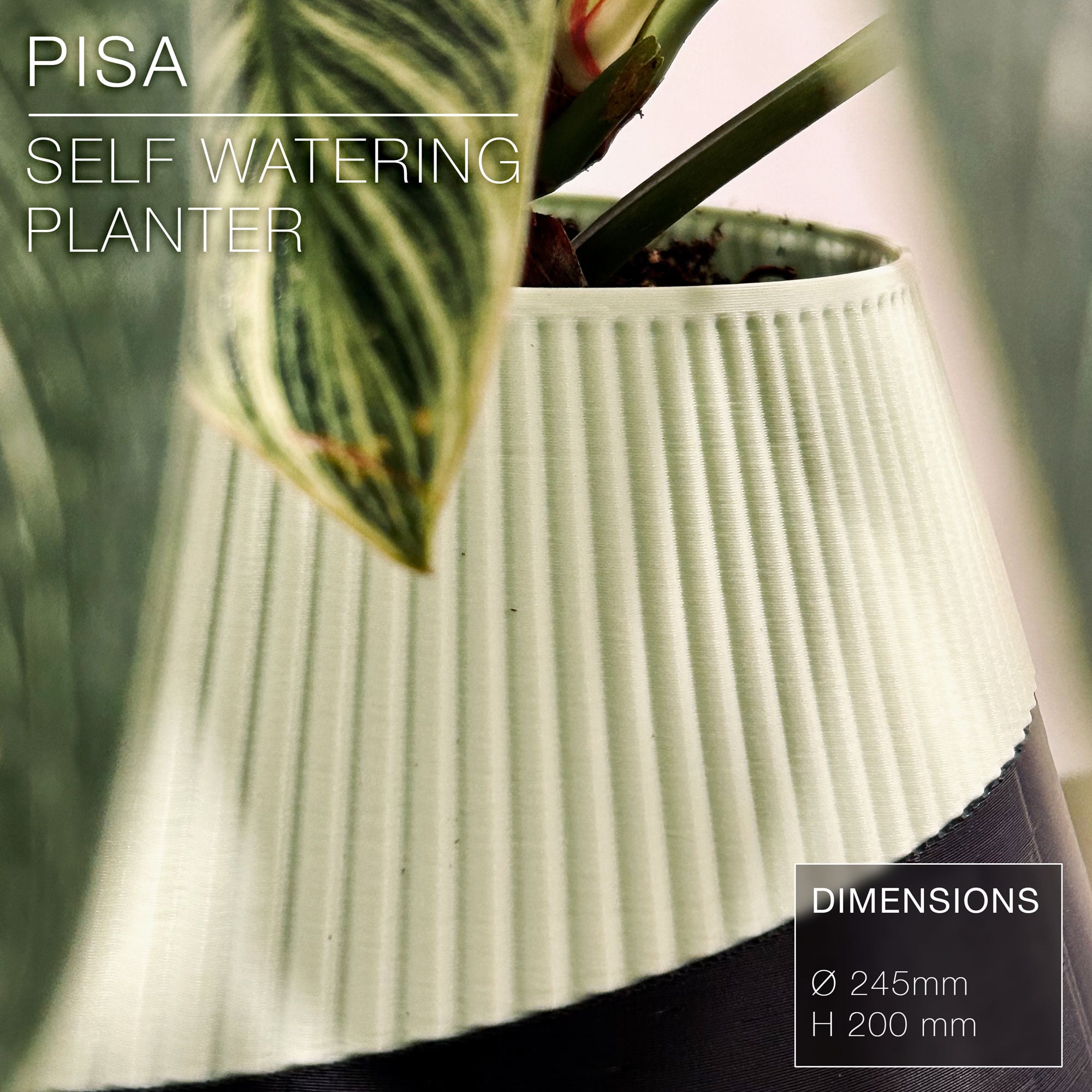 PISA | Self-Watering Planter 3d model