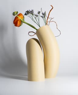 Pandora Vase – Multifunctional 3D Printed Vase with Hidden Storage and Coasters 3d model