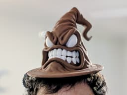 Enchanted Hat of Insanity 3d model