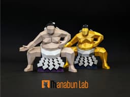Low Poly Sumo Magnet Puzzle (No supports, no AMS) 3d model