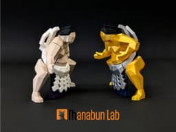 Low Poly Sumo Magnet Puzzle (No supports, no AMS) 3d model