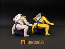 Low Poly Sumo Magnet Puzzle (No supports, no AMS) 3d model