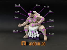 Low Poly Sumo Magnet Puzzle (No supports, no AMS) 3d model