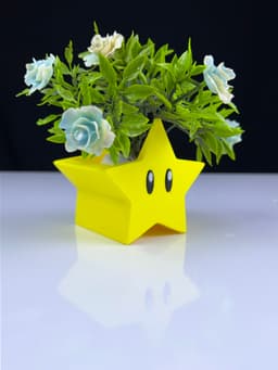 Super Star Planter 3d model