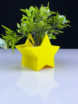 Super Star Planter 3d model