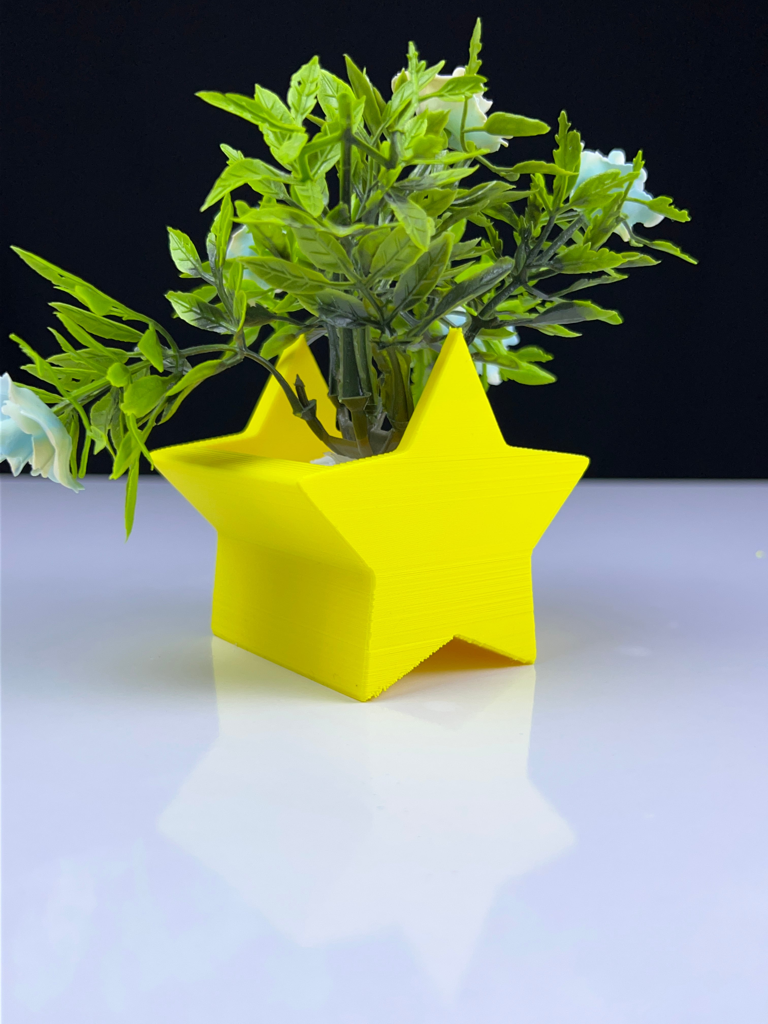 Super Star Planter 3d model