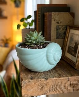 Nautical Shell Succulent Planter - Coastal Decor 3d model