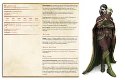 Changeling Theif - Many Faces - PRESUPPORTED - Illustrated and Stats - 32mm scale 3d model
