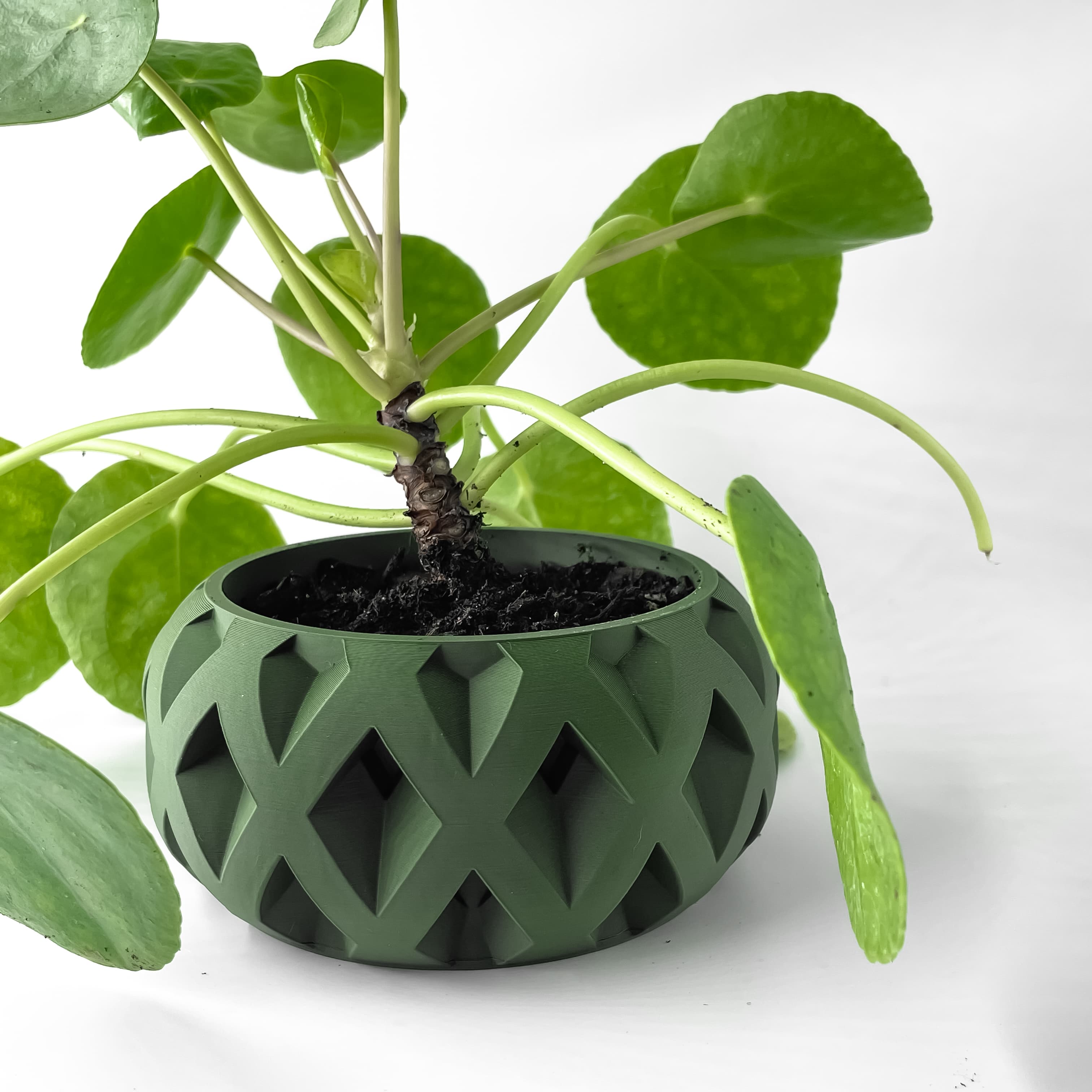 The Welen Planter Pot with Drainage Tray & Stand Included | Modern and Unique Home Decor 3d model