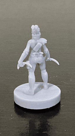 Female Rogue 35mm DnD Mini 3d model