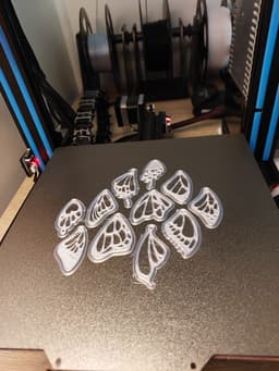 Butterfly Wings Earrings 3d model