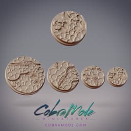 Lichen Steps Base Pack (4pcs) 3d model
