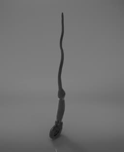 Peter Pettigrew’s Wand - Harry Potter 3d model