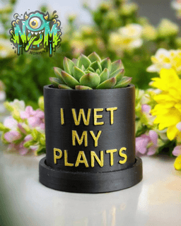 I WET MY PLANTS - Vase/Pot with Tray - Nomz 3d model