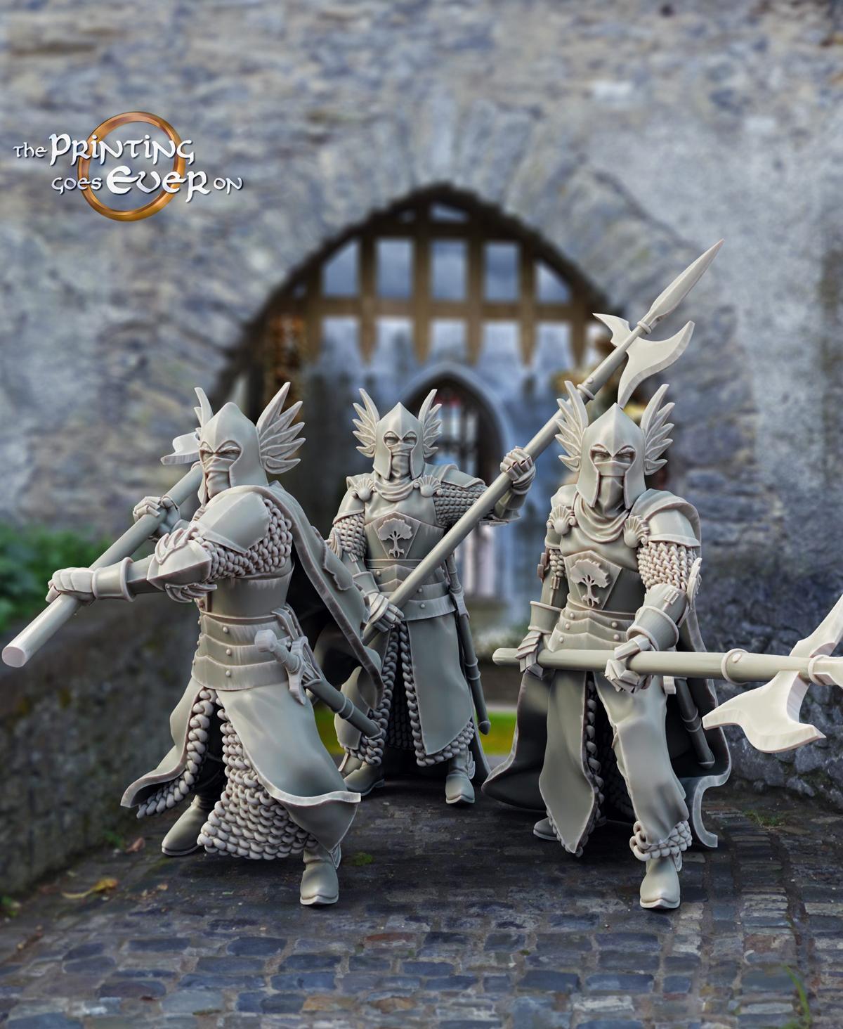 King's Guards - 3 Poses 3d model