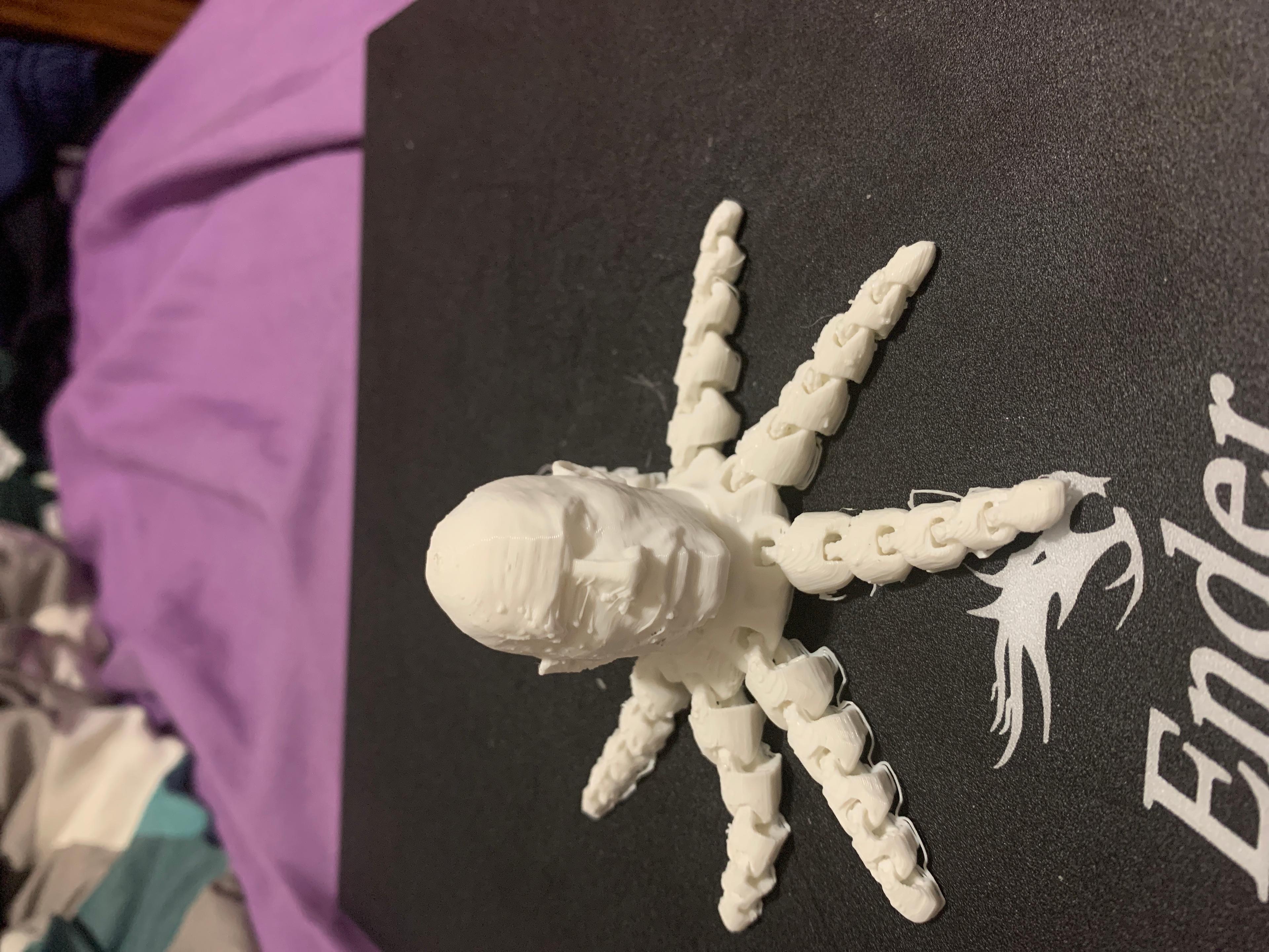 ROCKTOPUS - This came out great - 3d model