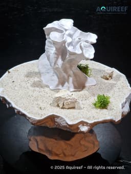 Aquarium & Terrarium Coral Reef Decor | Fish Tank Cave & Natural Fish Hide | Reptile Habitat Decor 3d model