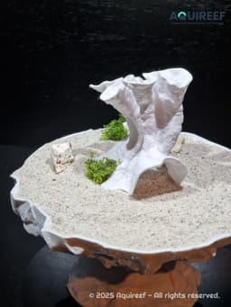 Aquarium & Terrarium Coral Reef Decor | Fish Tank Cave & Natural Fish Hide | Reptile Habitat Decor 3d model