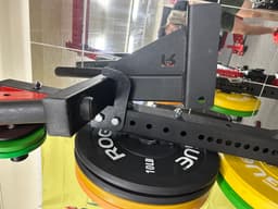 Rogue Fitness Matador dipstation mount home gym 3d model