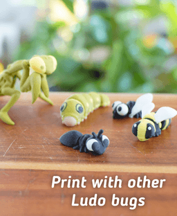 Articulating Ant - Articulated Fidget Ant - Ludo 3D Printed Flexy Fidget Toy 3d model