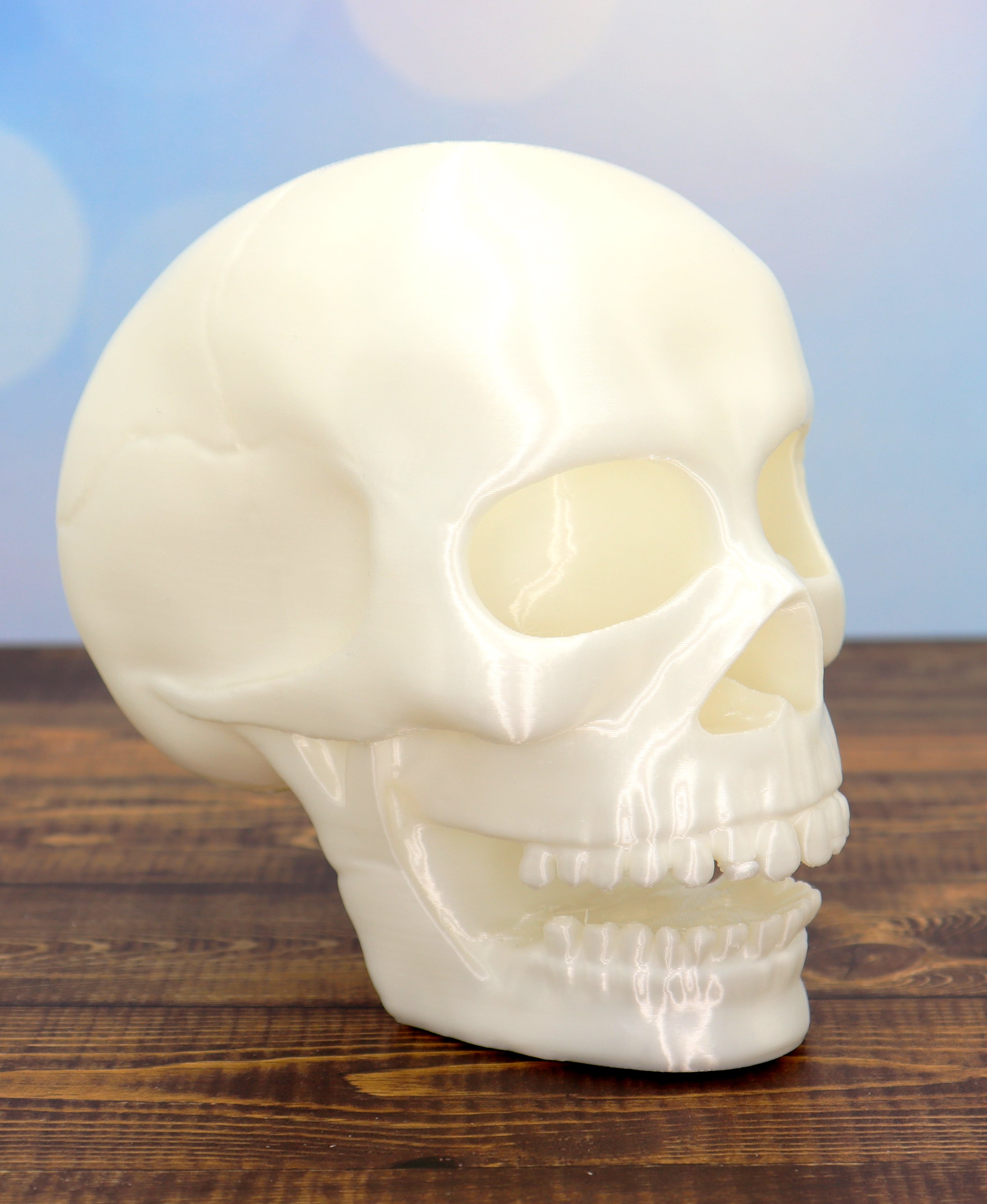 Spooky Skull Halloween decor 3d model