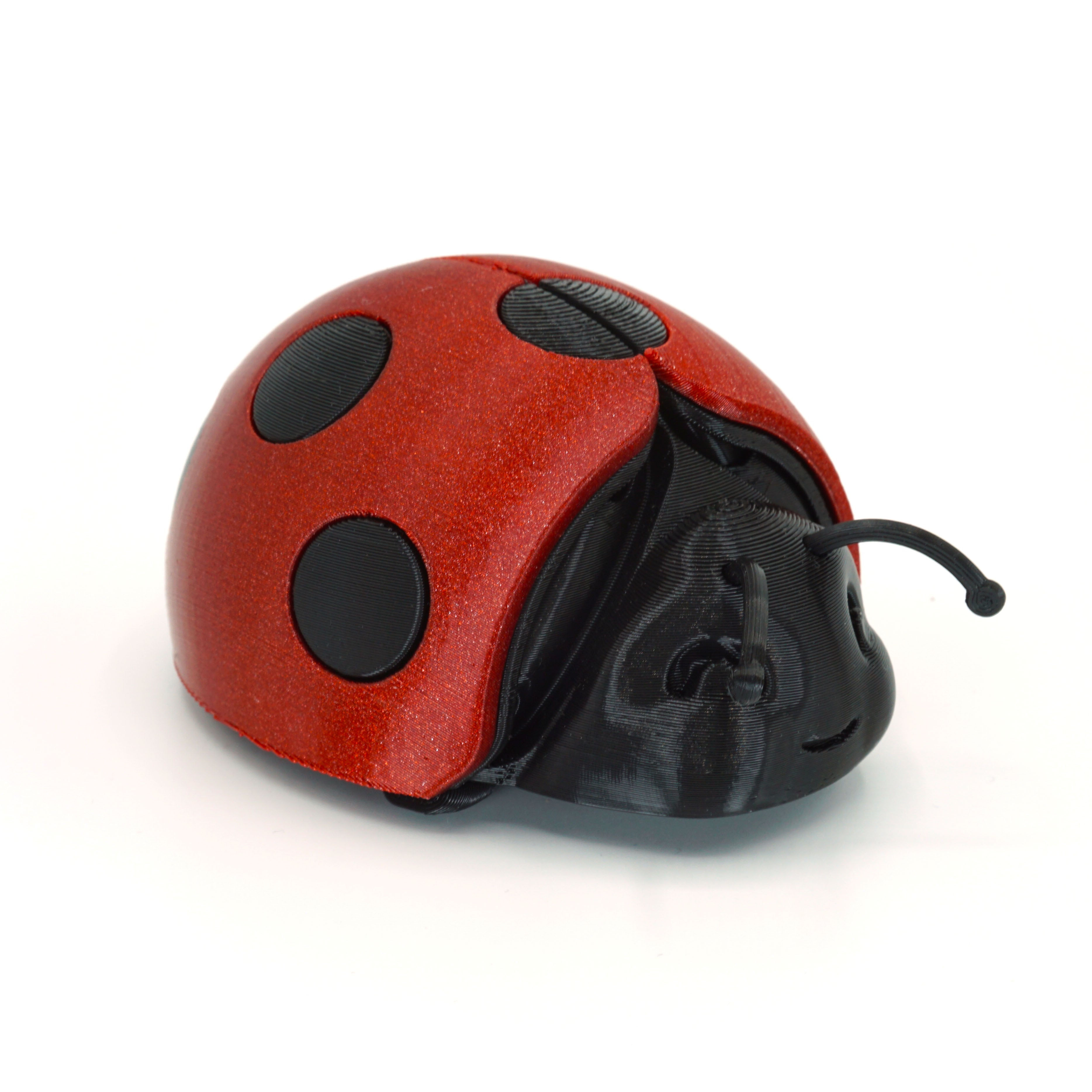 Lady B 3d model