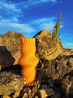 Nudo | Vase 3d model