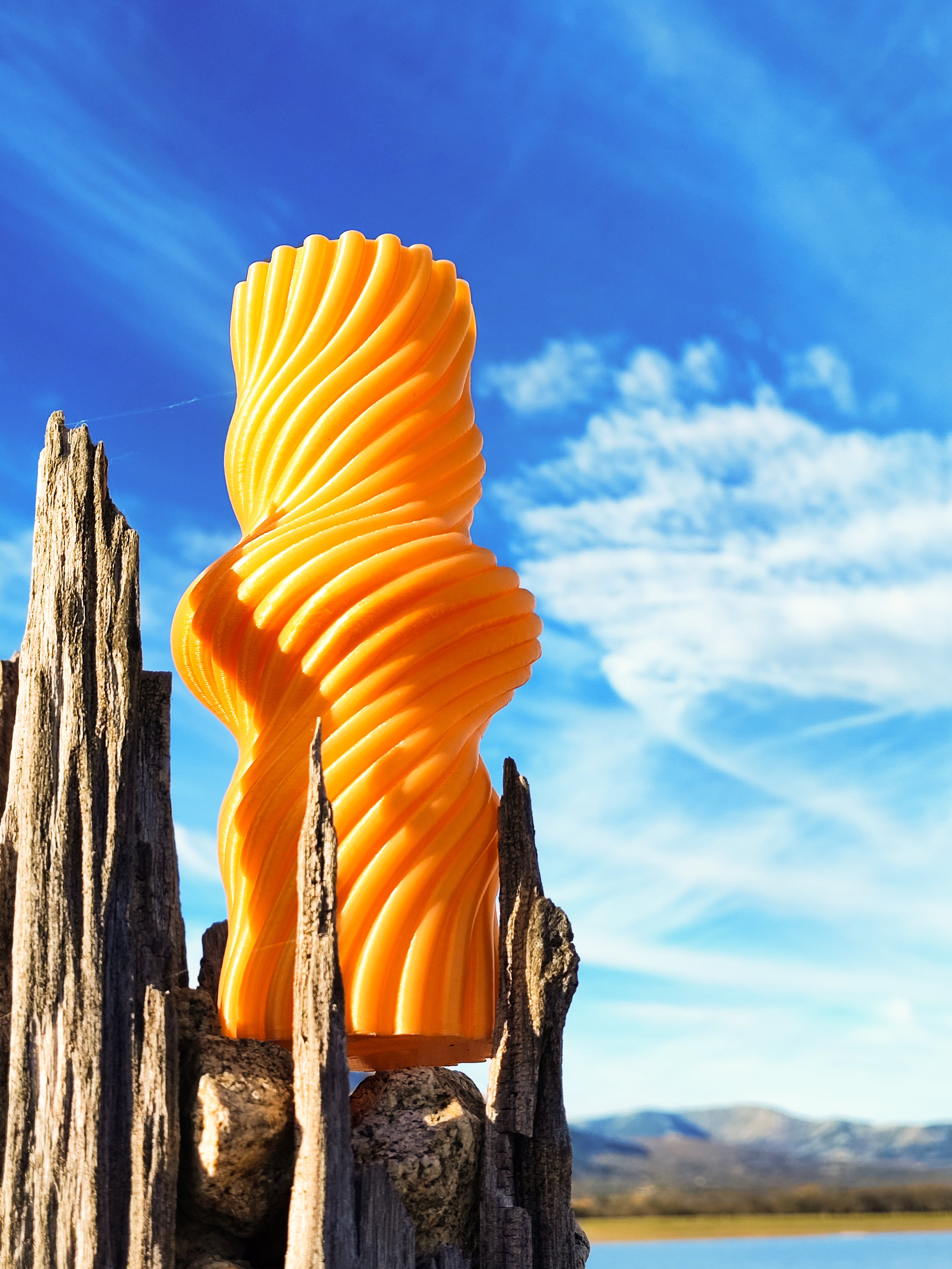 Nudo | Vase 3d model