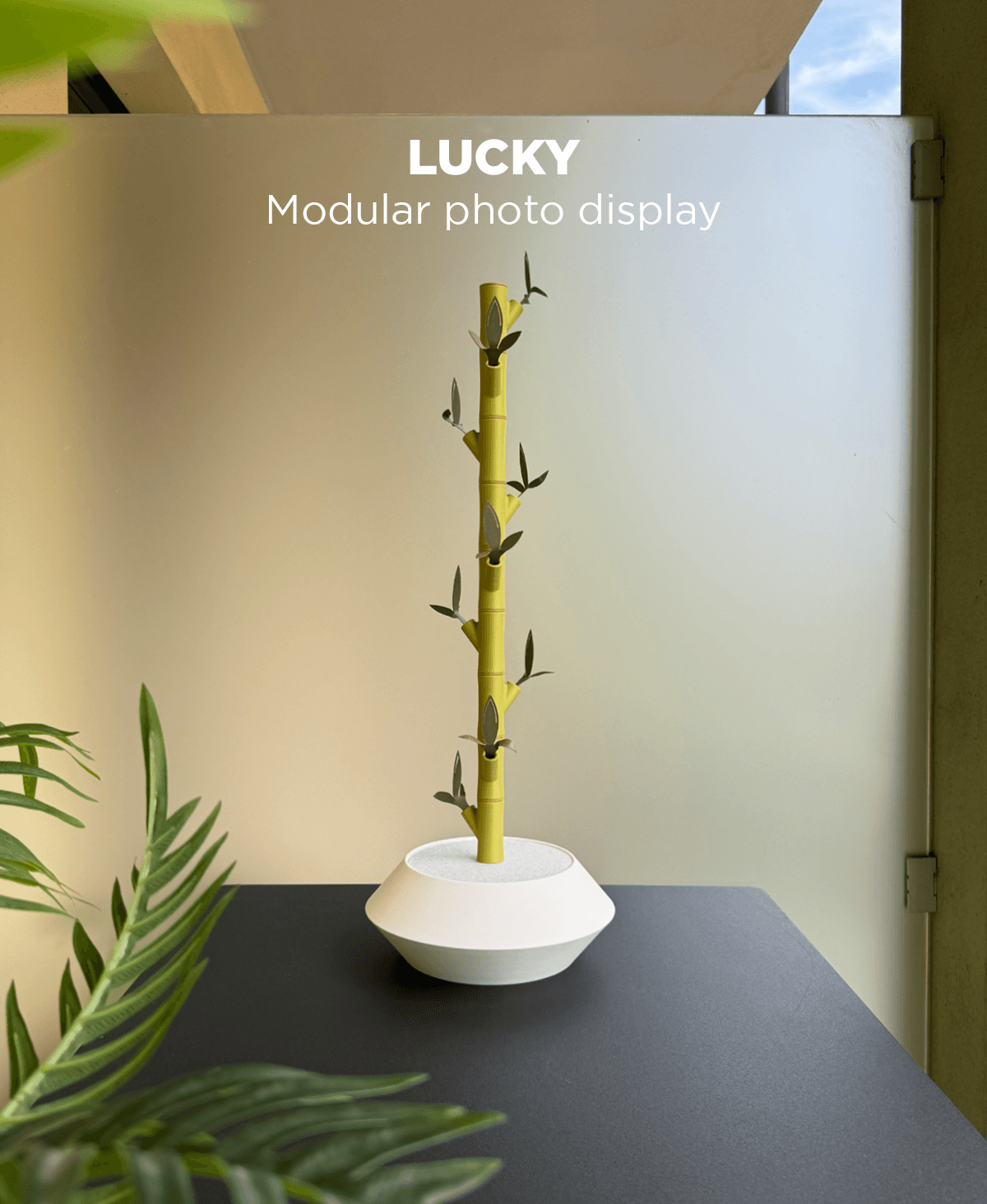 Lucky, modular photo display. 3d model