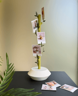 Lucky, modular photo display. 3d model