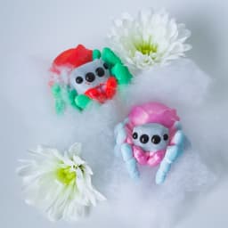 Jumping Spider Sculpt, Dice Holder, and Business Card Holder 3d model