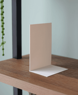 Invis Bookend 3d model