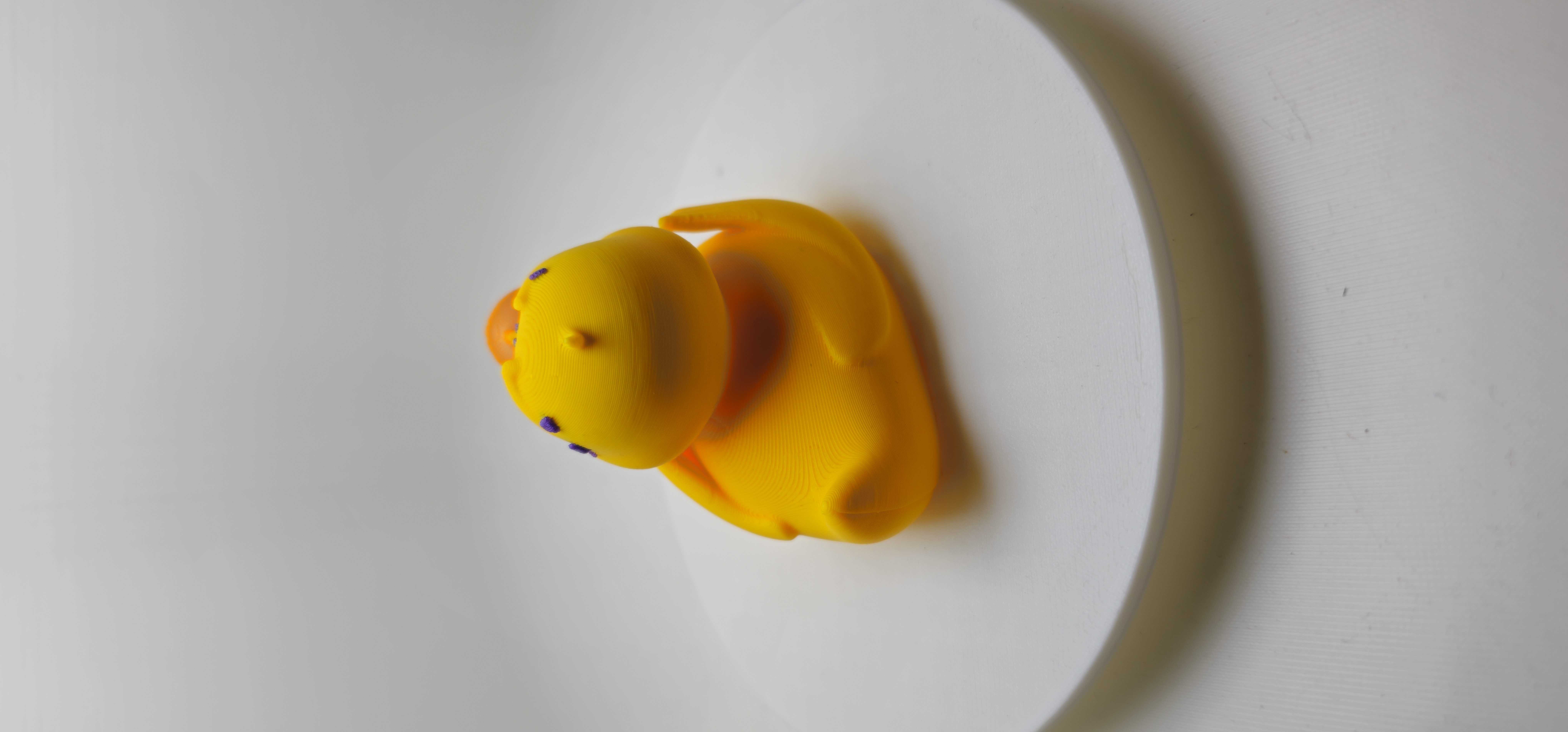 Scared Duck 3d model