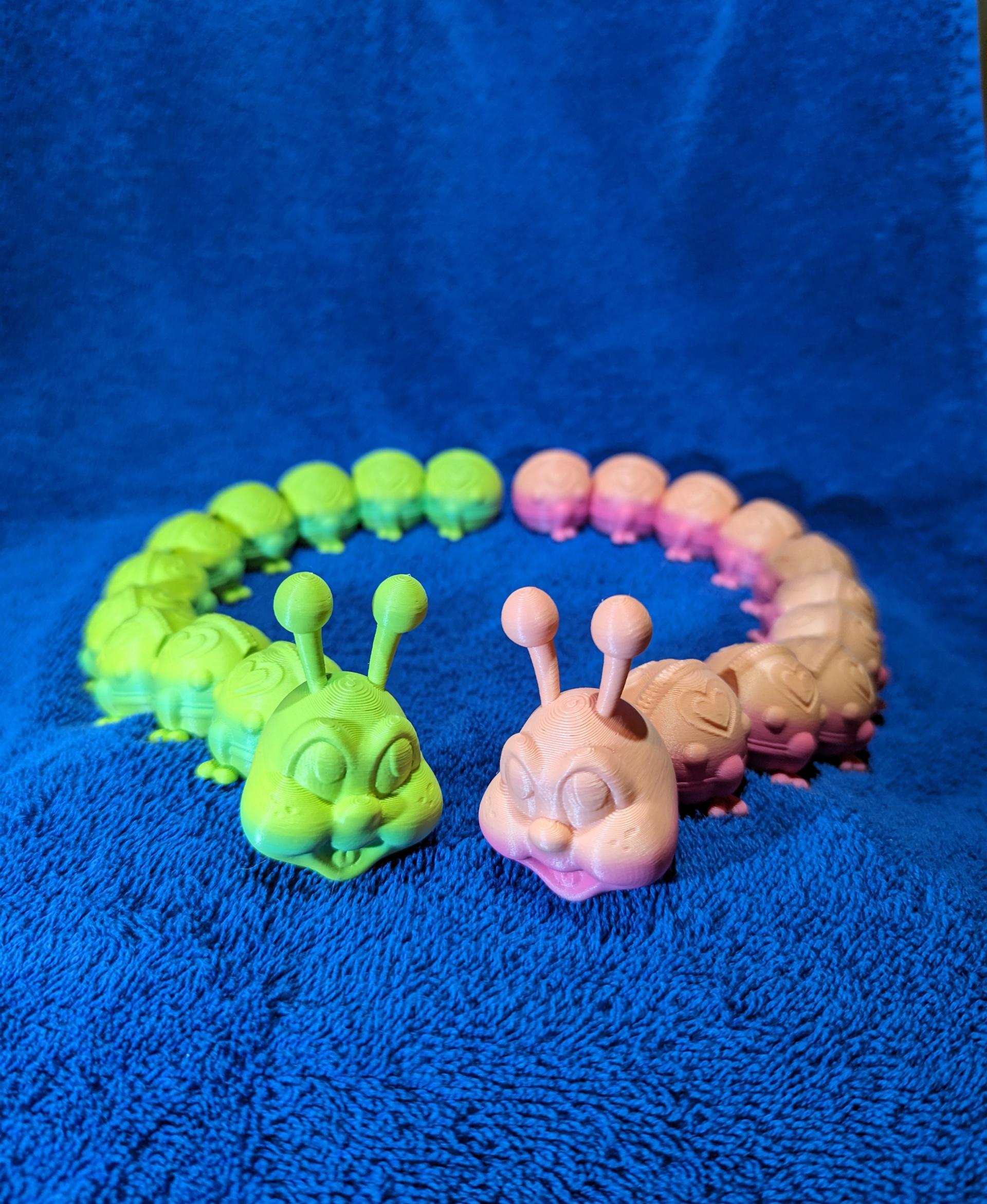 Love Bug (Caterpillar)- Print In Place Flexi - Love is in the air for these cute little love bugs. Printed in Polymaker's PolyTerra Gradient PLA Summer (green) & Spring (pink). - 3d model