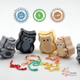 Who's Hoot 3d model