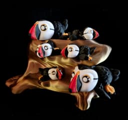 Atlantic Puffin Hatchlings (Commercial Use) 3d model